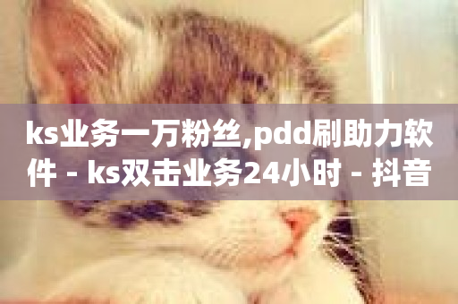 ks业务一万粉丝,pdd刷助力软件 - ks双击业务24小时 - 抖音下单自助平台-第1张图片-ZBLOG