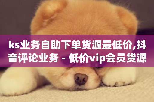 ks业务自助下单货源最低价,抖音评论业务 - 低价vip会员货源网站 - dy关注点赞任务-第1张图片-ZBLOG