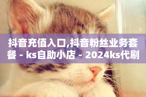 抖音充值入口,抖音粉丝业务套餐 - ks自助小店 - 2024ks代刷