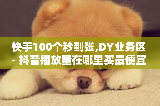 快手100个秒到张,DY业务区 - 抖音播放量在哪里买最便宜 - QQ自动平台登录入口官网-第1张图片-ZBLOG