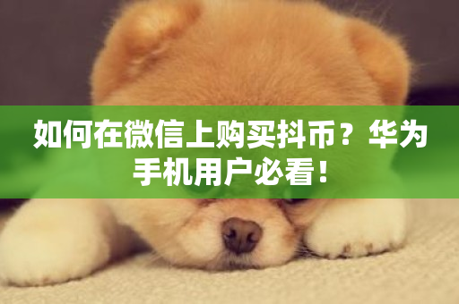 如何在微信上购买抖币？华为手机用户必看！-第1张图片-ZBLOG