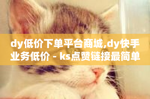 dy低价下单平台商城,dy快手业务低价 - ks点赞链接最简单方法 - 抖音秒赞秒到账自助-第1张图片-ZBLOG