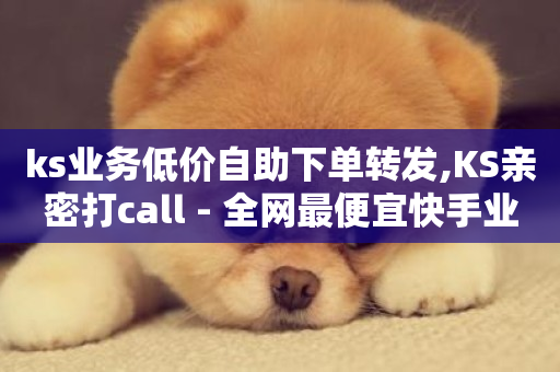 ks业务低价自助下单转发,KS亲密打call - 全网最便宜快手业务网站 - 快手免费网站