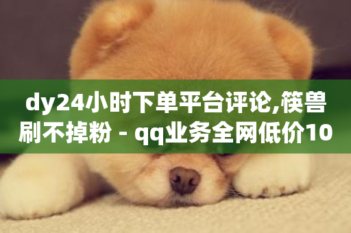 dy24小时下单平台评论,筷兽刷不掉粉 - qq业务全网低价1000 - 1元3000粉丝不掉粉丝