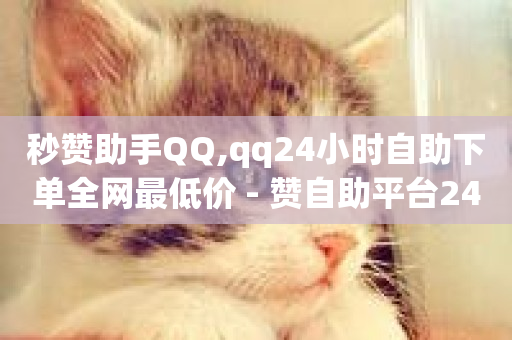 秒赞助手QQ,qq24小时自助下单全网最低价 - 赞自助平台24小时服务 - 抖音充赞-第1张图片-ZBLOG