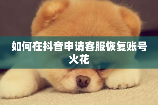 如何在抖音申请客服恢复账号火花-第1张图片-ZBLOG