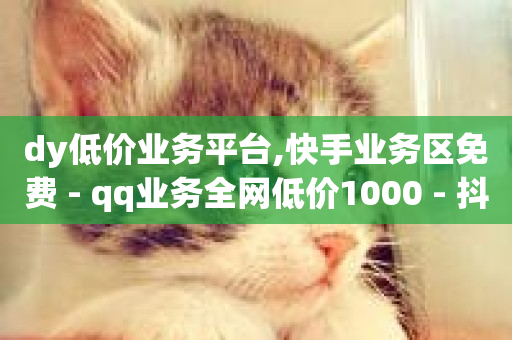 dy低价业务平台,快手业务区免费 - qq业务全网低价1000 - 抖音点赞24小时服务-第1张图片-ZBLOG