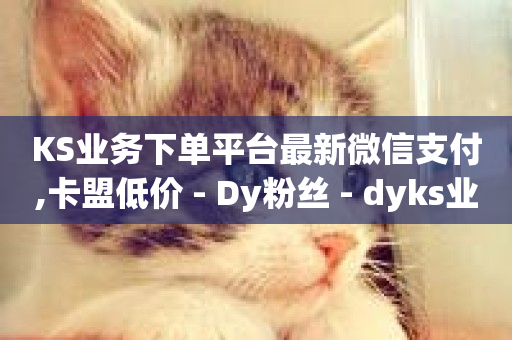 KS业务下单平台最新微信支付,卡盟低价 - Dy粉丝 - dyks业务下单自动平台