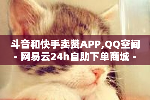 斗音和快手卖赞APP,QQ空间 - 网易云24h自助下单商城 - 低价下单平台业务-第1张图片-ZBLOG