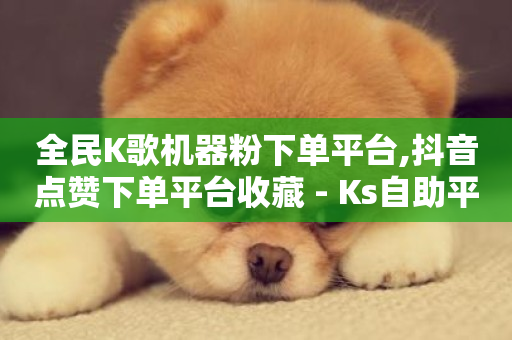 全民K歌机器粉下单平台,抖音点赞下单平台收藏 - Ks自助平台 - 业务网24小时自助下单科技-第1张图片-ZBLOG