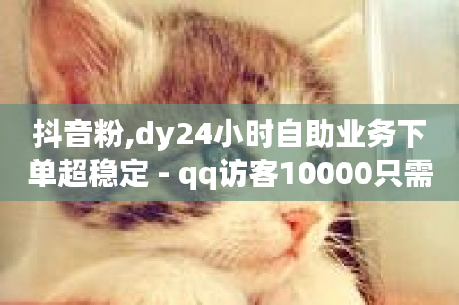 抖音粉,dy24小时自助业务下单超稳定 - qq访客10000只需2毛 - 快手不掉粉-第1张图片-ZBLOG