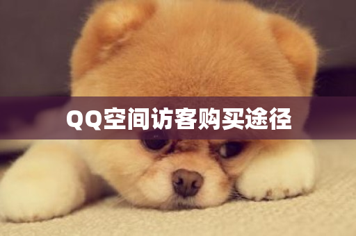 QQ空间访客购买途径-第1张图片-ZBLOG