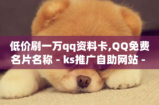 低价刷一万qq资料卡,QQ免费名片名称 - ks推广自助网站 - 快手赞