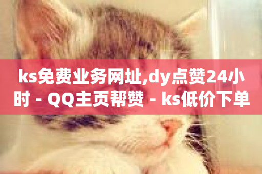 ks免费业务网址,dy点赞24小时 - QQ主页帮赞 - ks低价下单平台业务-第1张图片-ZBLOG