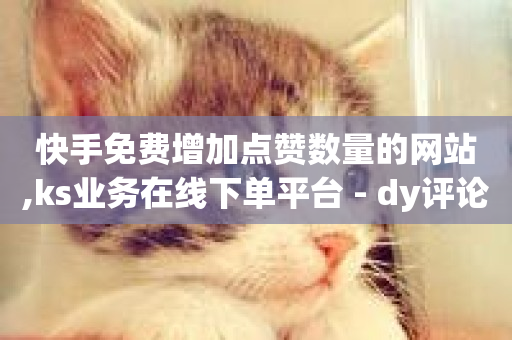 快手免费增加点赞数量的网站,ks业务在线下单平台 - dy评论下单业务 - 全民k歌直播电影步骤