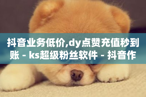 抖音业务低价,dy点赞充值秒到账 - ks超级粉丝软件 - 抖音作品低价24小时平台