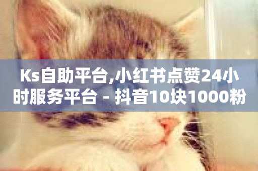 Ks自助平台,小红书点赞24小时服务平台 - 抖音10块1000粉 - KS低价业务下单平台