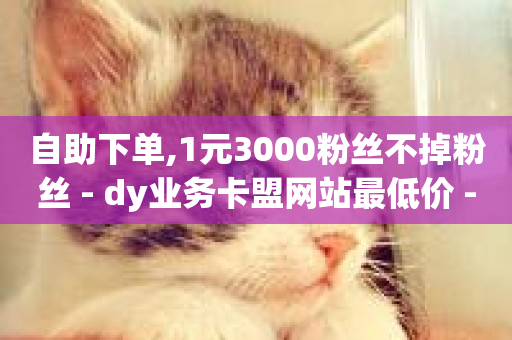 自助下单,1元3000粉丝不掉粉丝 - dy业务卡盟网站最低价 - 抖音点赞24小时在线超低价