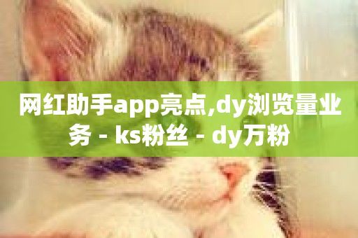 网红助手app亮点,dy浏览量业务 - ks粉丝 - dy万粉