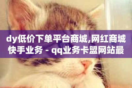 dy低价下单平台商城,网红商城快手业务 - qq业务卡盟网站最低价 - 自助下单几毛-第1张图片-ZBLOG