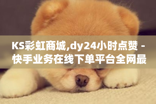 KS彩虹商城,dy24小时点赞 - 快手业务在线下单平台全网最低 - ks免费业务平台软件-第1张图片-ZBLOG