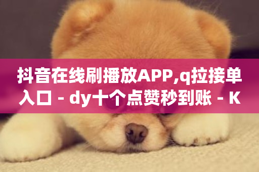 抖音在线刷播放APP,q拉接单入口 - dy十个点赞秒到账 - KS免费下载安装