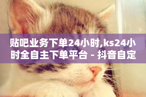 贴吧业务下单24小时,ks24小时全自主下单平台 - 抖音自定义评论业务 - ks在线业务