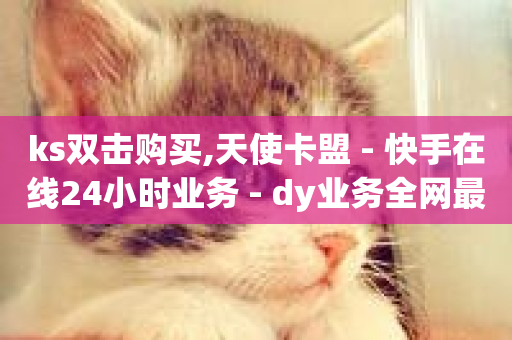 ks双击购买,天使卡盟 - 快手在线24小时业务 - dy业务全网最低价