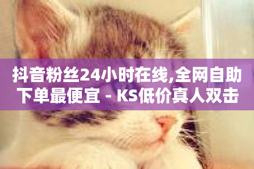 抖音粉丝24小时在线,全网自助下单最便宜 - KS低价真人双击 - ks全网最低价下单平台-第1张图片-ZBLOG