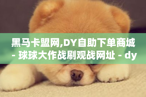 黑马卡盟网,DY自助下单商城 - 球球大作战刷观战网址 - dy业务低价自助下单软件