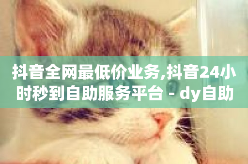 抖音全网最低价业务,抖音24小时秒到自助服务平台 - dy自助平台业务下单真人 - ks快速千粉-第1张图片-ZBLOG