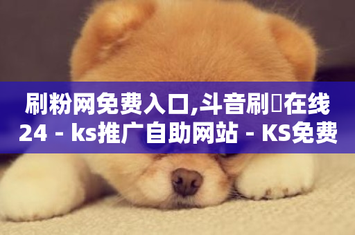 刷粉网免费入口,斗音刷讚在线24 - ks推广自助网站 - KS免费业务-第1张图片-ZBLOG