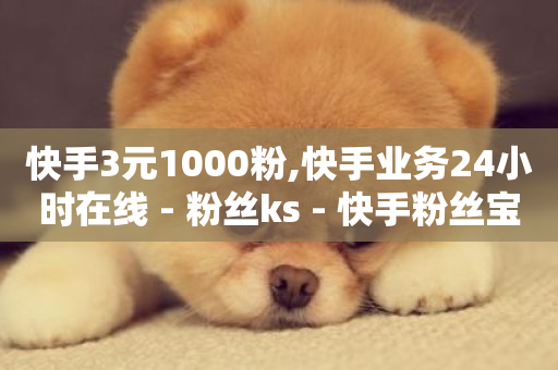 快手3元1000粉,快手业务24小时在线 - 粉丝ks - 快手粉丝宝软件-第1张图片-ZBLOG