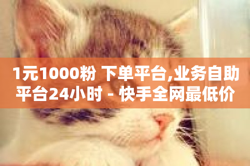 1元1000粉 下单平台,业务自助平台24小时 - 快手全网最低价下单平台 - 抖音评论真人下单-第1张图片-ZBLOG