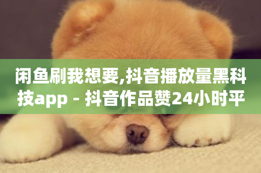 闲鱼刷我想要,抖音播放量黑科技app - 抖音作品赞24小时平台 - 扣扣说说赞一毛10000-第1张图片-ZBLOG