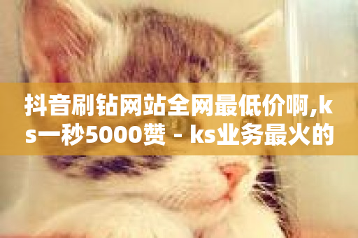 抖音刷钻网站全网最低价啊,ks一秒5000赞 - ks业务最火的三个网站 - ks24小时自助业务-第1张图片-ZBLOG