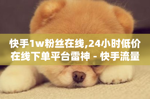 快手1w粉丝在线,24小时低价在线下单平台雷神 - 快手流量推广网站24小时热线 - Dy免费业务平台