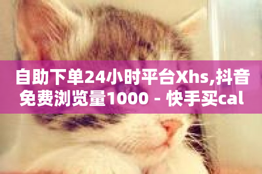 自助下单24小时平台Xhs,抖音免费浏览量1000 - 快手买call网址 - ks网站平台-第1张图片-ZBLOG