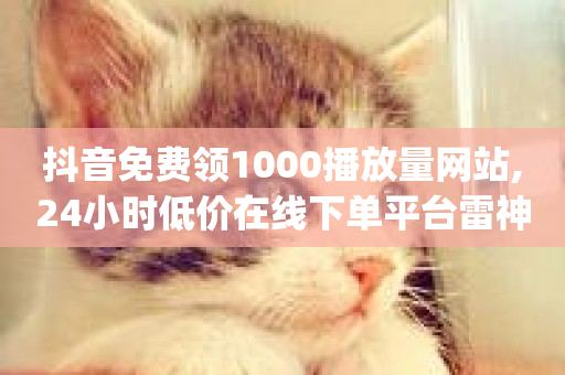 抖音免费领1000播放量网站,24小时低价在线下单平台雷神 - dy赞在线自助下单网站 - 快手点赞低价货源