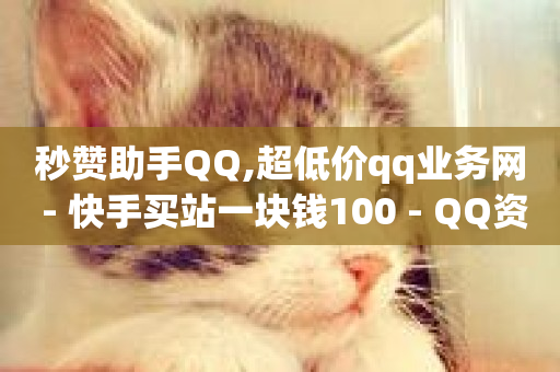 秒赞助手QQ,超低价qq业务网 - 快手买站一块钱100 - QQ资料卡怎么点赞-第1张图片-ZBLOG