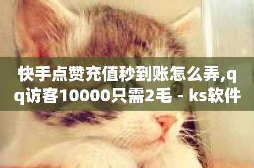 快手点赞充值秒到账怎么弄,qq访客10000只需2毛 - ks软件 - 抖音二十四小时点赞自助平台-第1张图片-ZBLOG