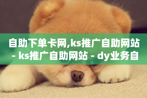 自助下单卡网,ks推广自助网站 - ks推广自助网站 - dy业务自助下单软件下载-第1张图片-ZBLOG