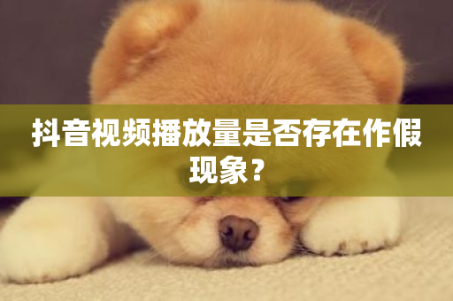 抖音视频播放量是否存在作假现象？-第1张图片-ZBLOG