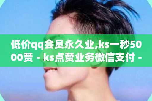 低价qq会员永久业,ks一秒5000赞 - ks点赞业务微信支付 - 快手购买热度