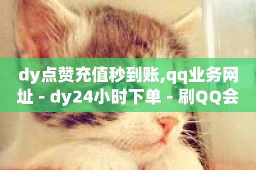 dy点赞充值秒到账,qq业务网址 - dy24小时下单 - 刷QQ会员网站永久网址卡盟