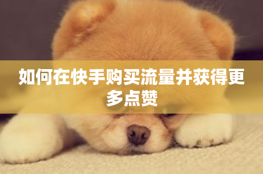 如何在快手购买流量并获得更多点赞-第1张图片-ZBLOG