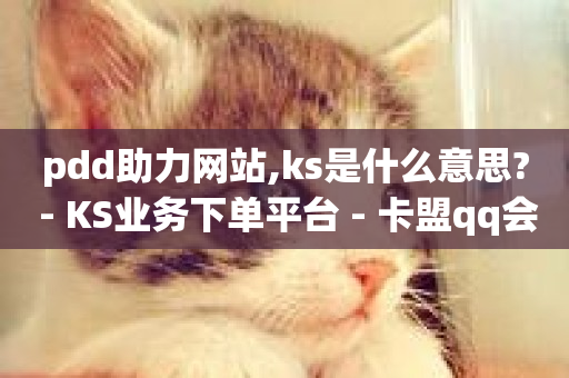 pdd助力网站,ks是什么意思? - KS业务下单平台 - 卡盟qq会员 终身