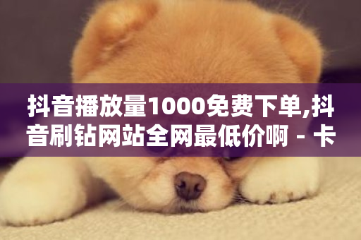 抖音播放量1000免费下单,抖音刷钻网站全网最低价啊 - 卡盟24小时自动发卡平台 - 抖音粉丝如何快速增加到1000-第1张图片-ZBLOG