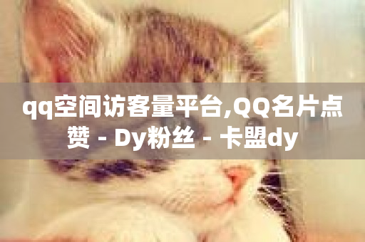 qq空间访客量平台,QQ名片点赞 - Dy粉丝 - 卡盟dy-第1张图片-ZBLOG