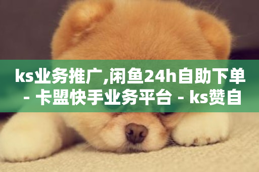 ks业务推广,闲鱼24h自助下单 - 卡盟快手业务平台 - ks赞自助下单平台网站便宜-第1张图片-ZBLOG